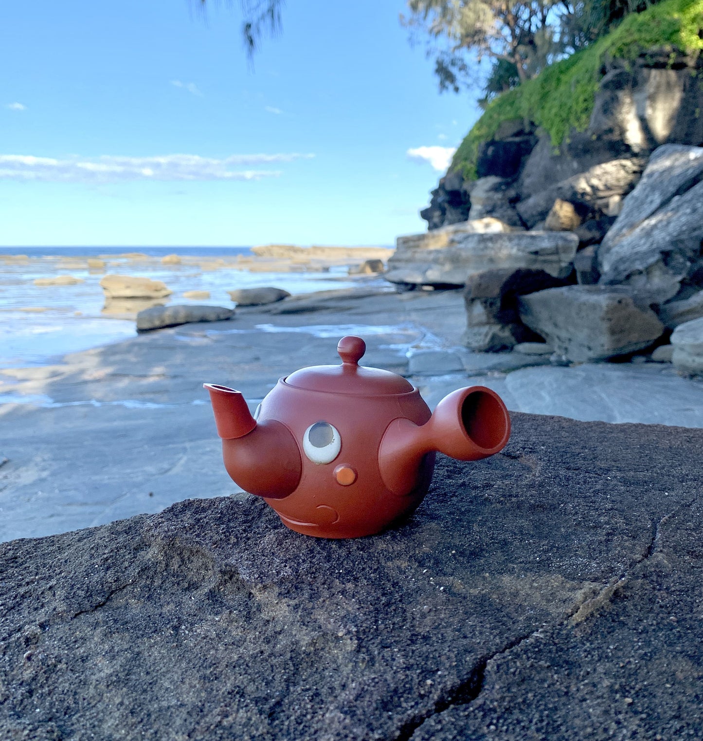 300ml Japanese Tea Pot