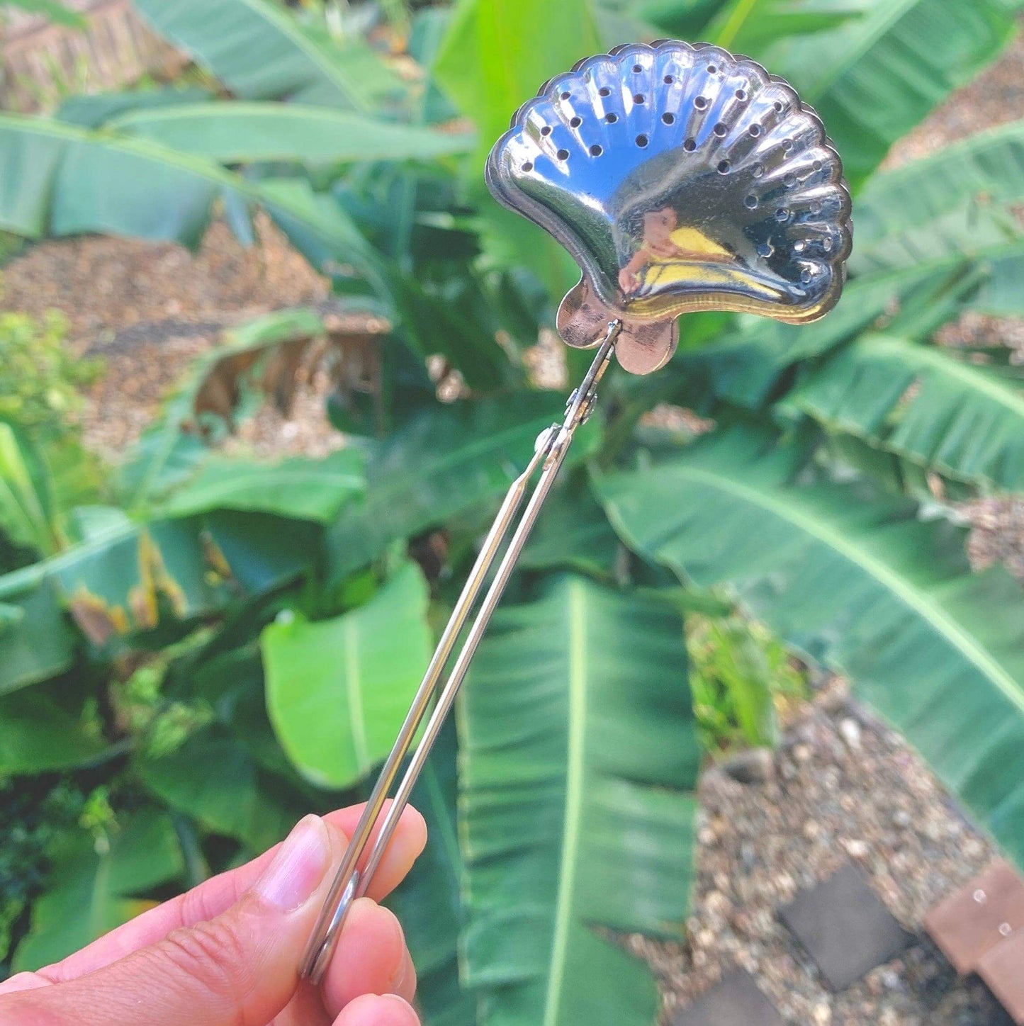 Seashell Shape Tea Strainer